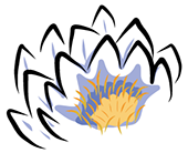 Kinesiologie Bettina Willi