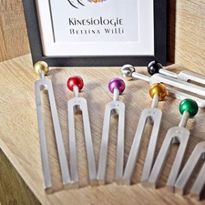 Kinesiologie Praxis Bettina Willi, ihre Therapeutin der Region Flums, Plons, Walenstadt und Mels. Kinesiologie Praxis Bettina Willi, ihre Therapeutin der Region Flums, Plons, Walenstadt und Mels.